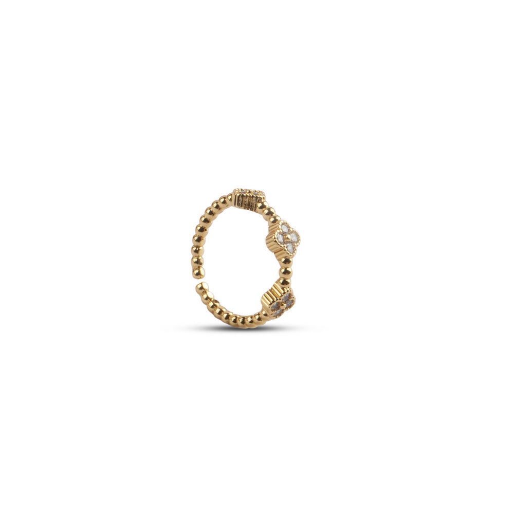 Viral Ring