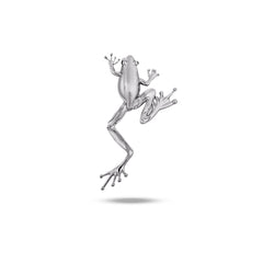 Grenouille Brooch in Silver